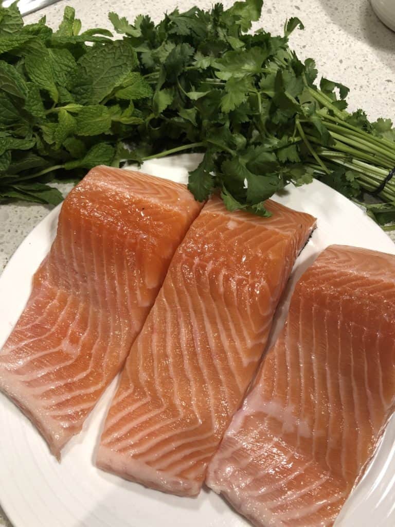 Fresh salmon Fillets 