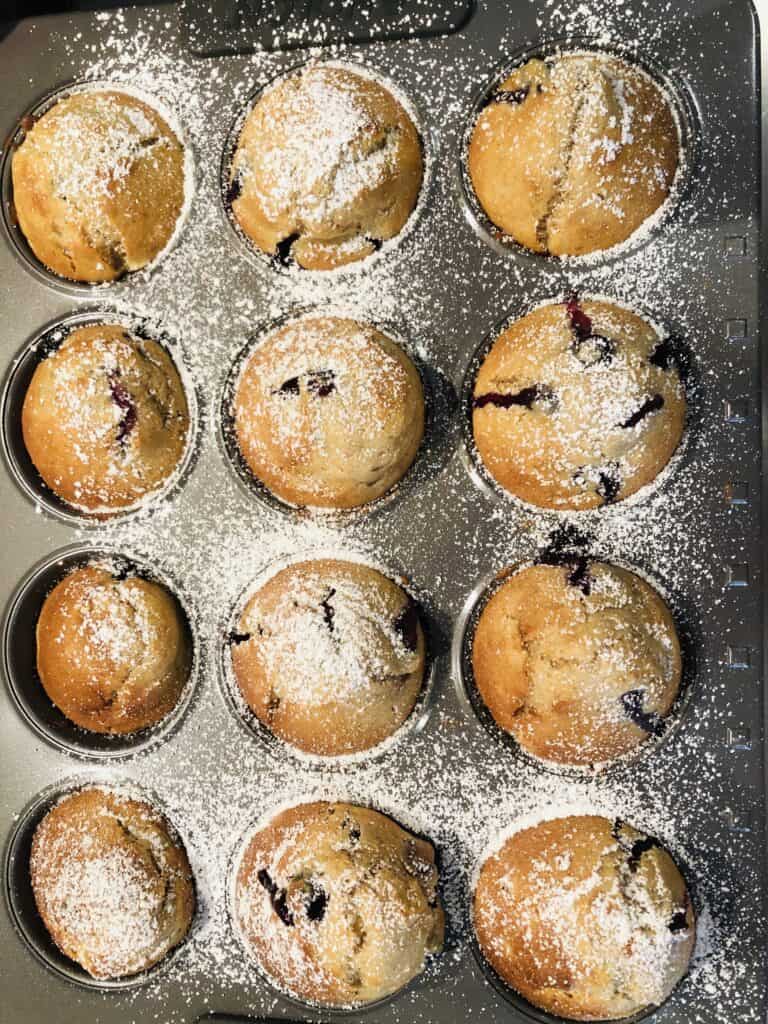 Freshly baked blueberry muffins