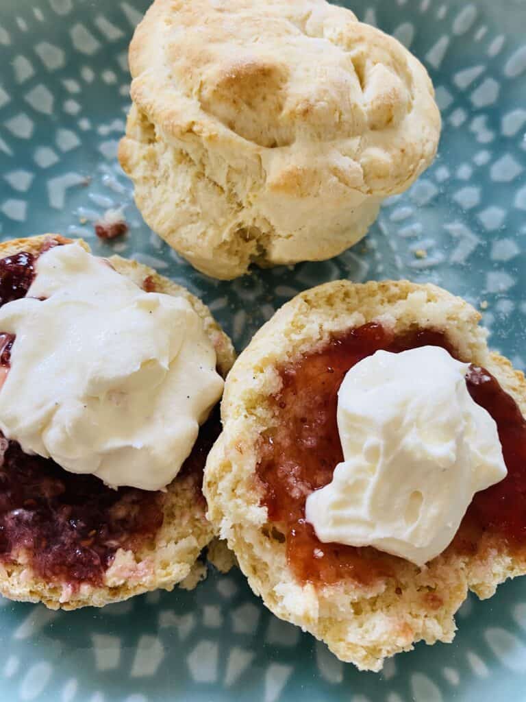freshly baked scones with jam and cream