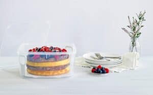 cake storage container with lifter 