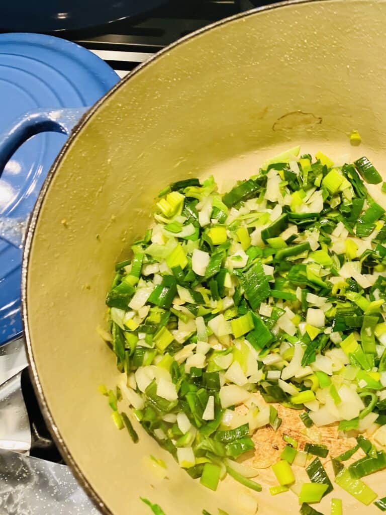 Leeks and onion