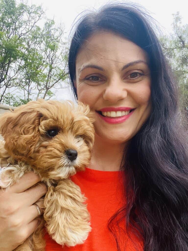 Cavoodle puppy and Mrsfoodiemumma 